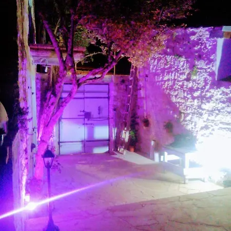 Metamorphosis Mansions Lofou