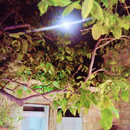Metamorphosis Mansions * Lofou